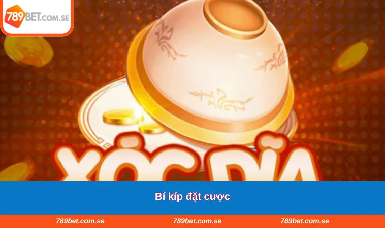 Bí kíp đặt cược