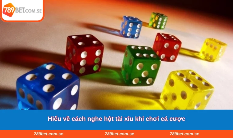 Hiểu về cách nghe hột tài xỉu khi chơi cá cược