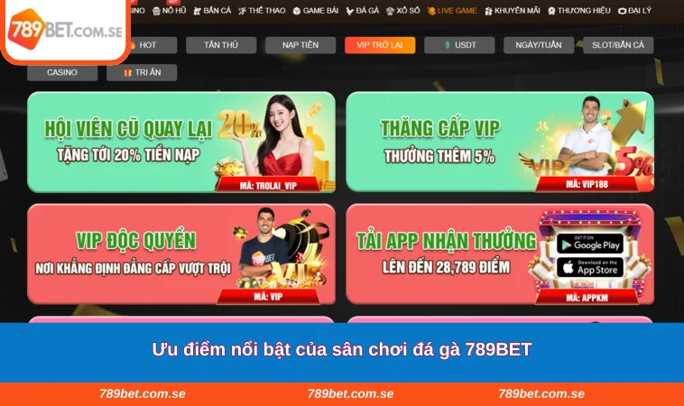 Ưu điểm nổi bật của sân chơi đá gà 789BET