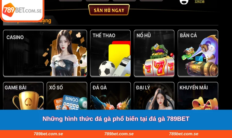 Những hình thức đá gà phổ biến tại đá gà 789BET