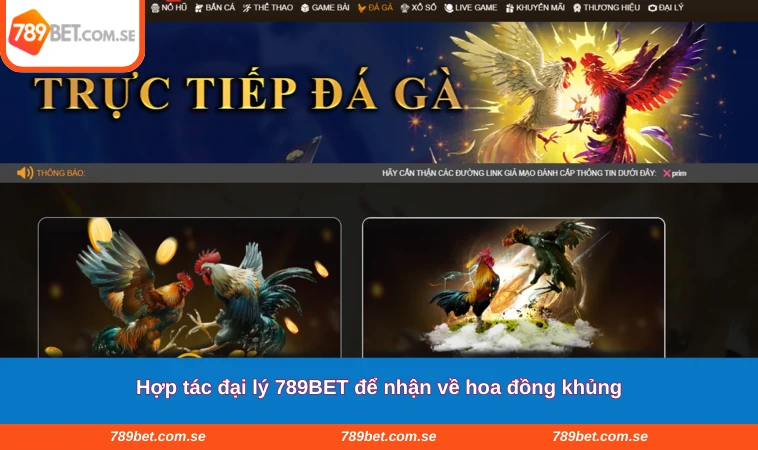 Hợp tác đại lý 789BET để nhận về hoa đồng khủng