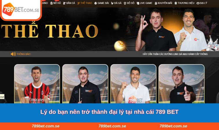 Lý do bạn nên trở thành đại lý tại nhà cái 789 BET