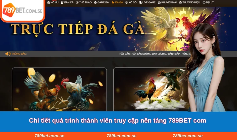 Chi tiết quá trình thành viên truy cập nền tảng 789BET com 