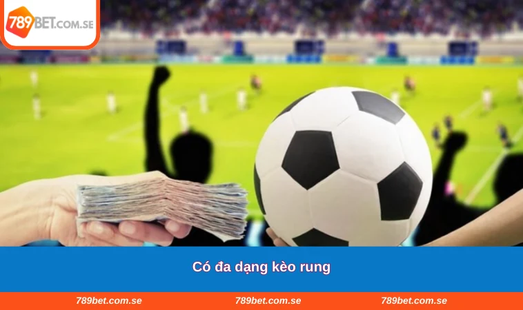 Có đa dạng kèo rung