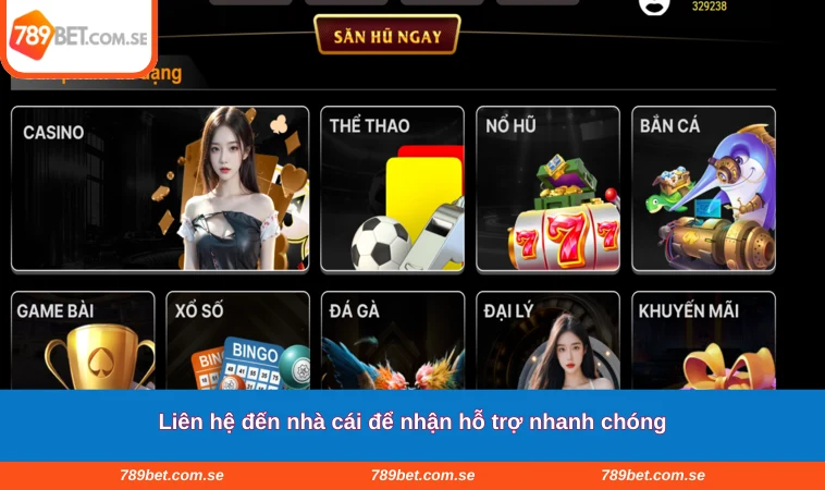 Liên hệ đến nhà cái để nhận hỗ trợ nhanh chóng