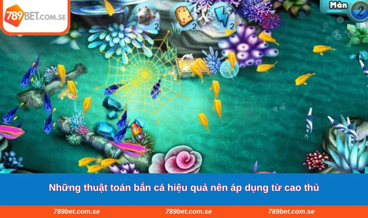 Những thuật toán bắn cá hiệu quả nên áp dụng từ cao thủ